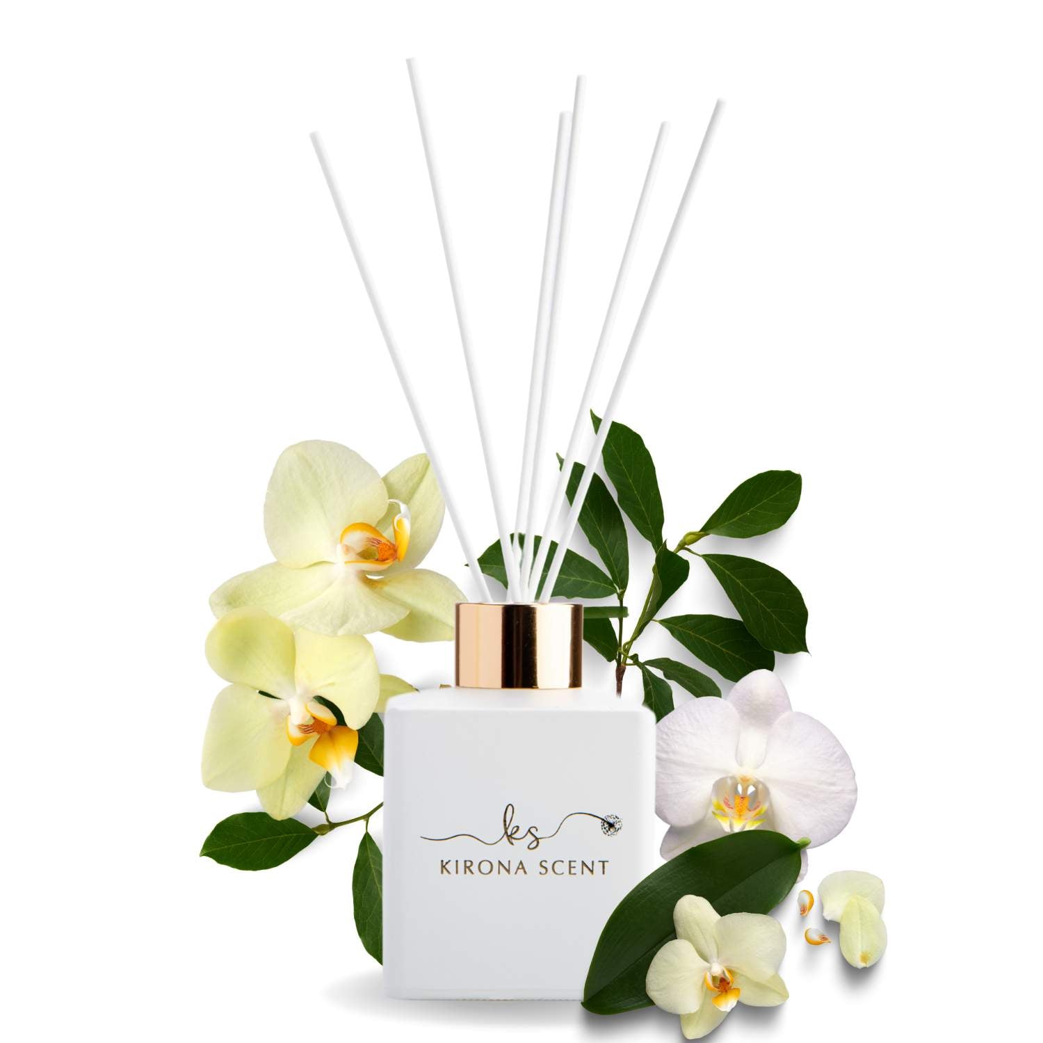 Timeless Reed Diffuser (White) - Orchid