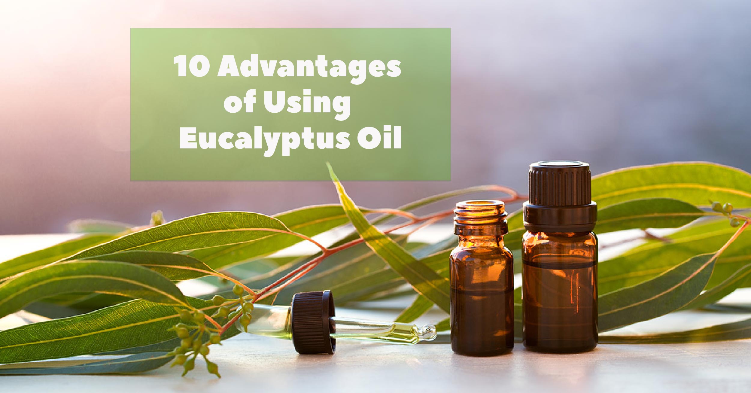 10 Advantages of Using Eucalyptus Oil