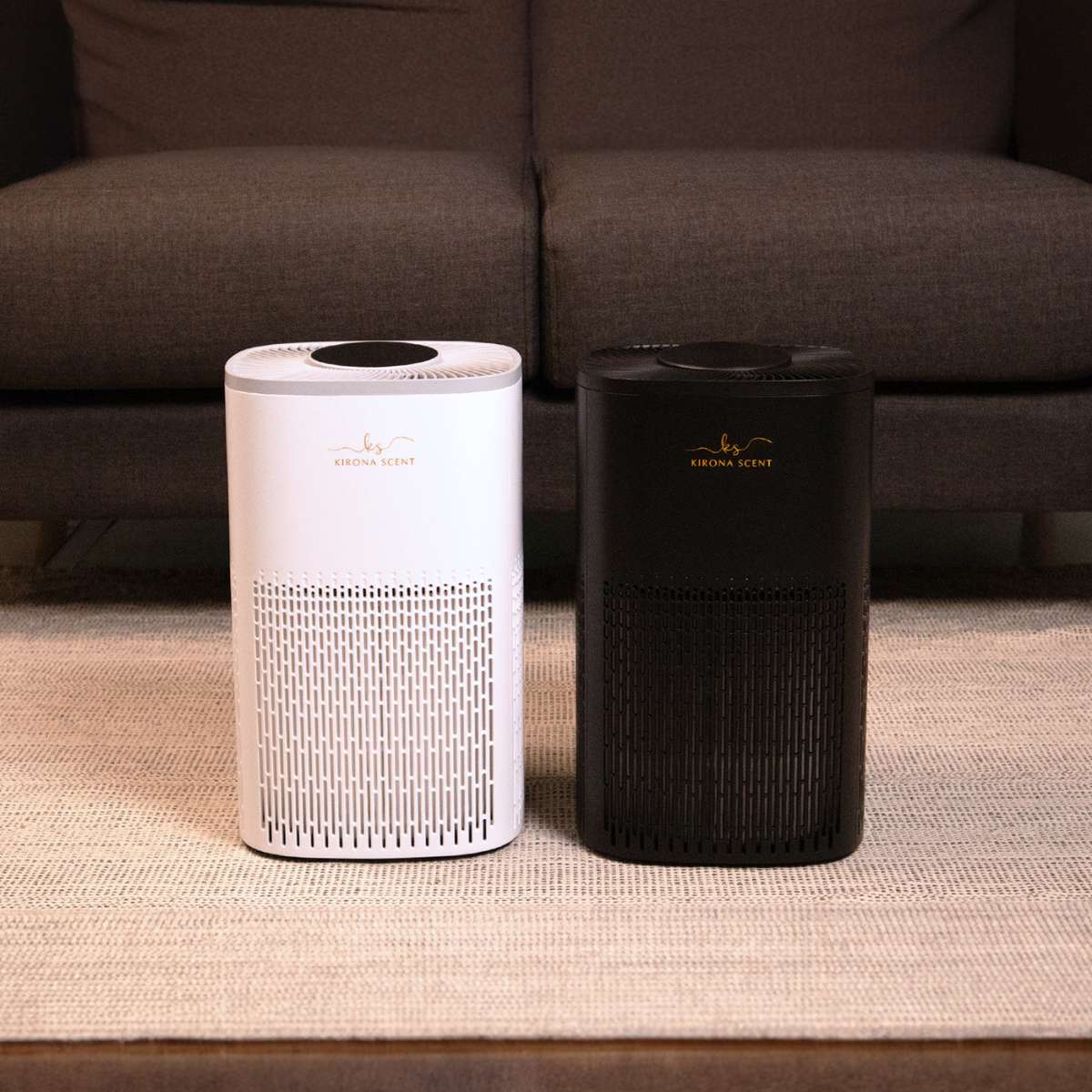 Why a HEPA 13 Air Purifier Might Be the Best Investment for Your Health