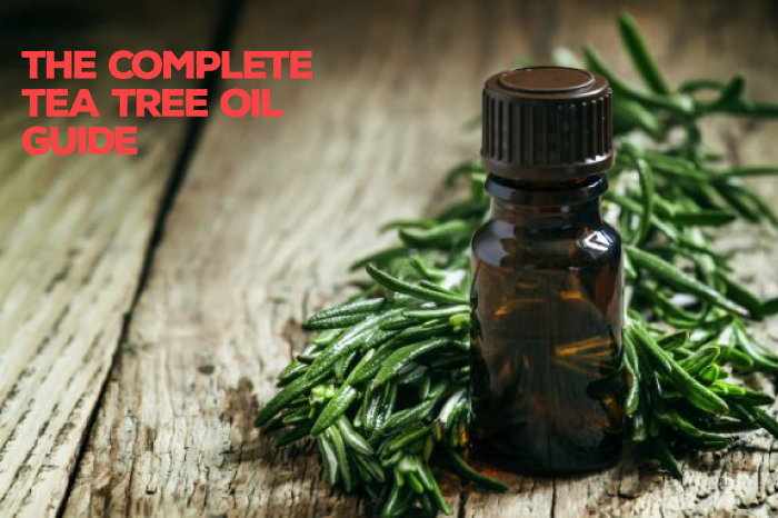 The Complete Tea Tree Oil Guide Singapore: Overview & Features