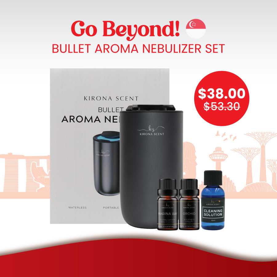 Go Beyond! 🇸🇬 Bullet Aroma Nebulizer Set (Titanium Black)