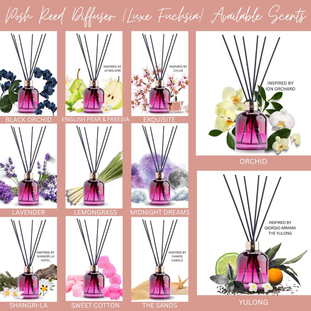 Posh Diffusers Black Orchid Posh Reed Diffuser (Luxe Fuchsia) – Kirona Scent