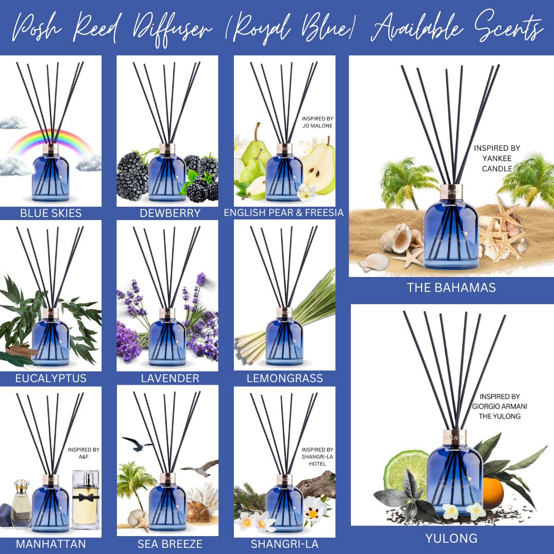 Posh Diffusers Blue Skies Posh Reed Diffuser (Royal Blue) – Kirona Scent