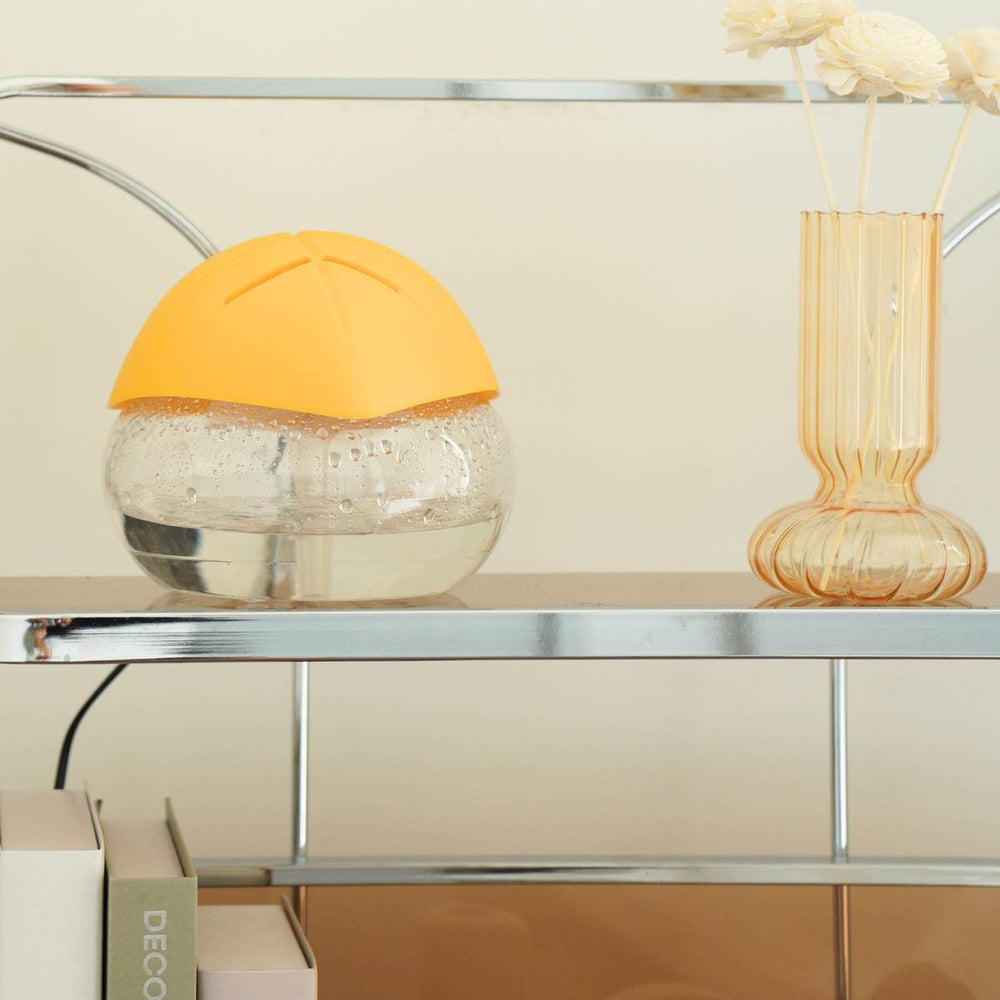 Affordable and Good Air Purifier in Singapore. Pure Essential Oils