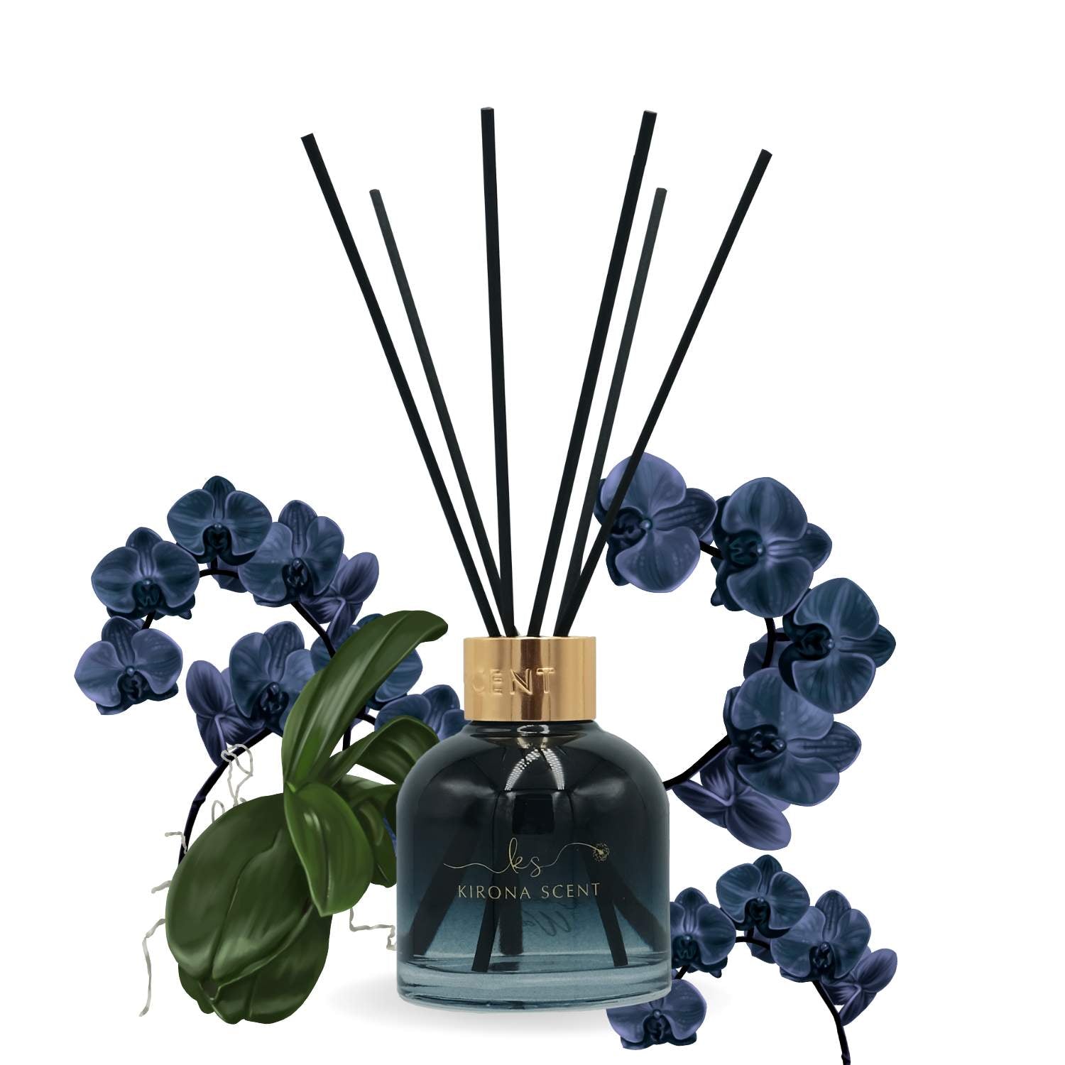 Ritz Reed Diffuser - Black Orchid – Kirona Scent