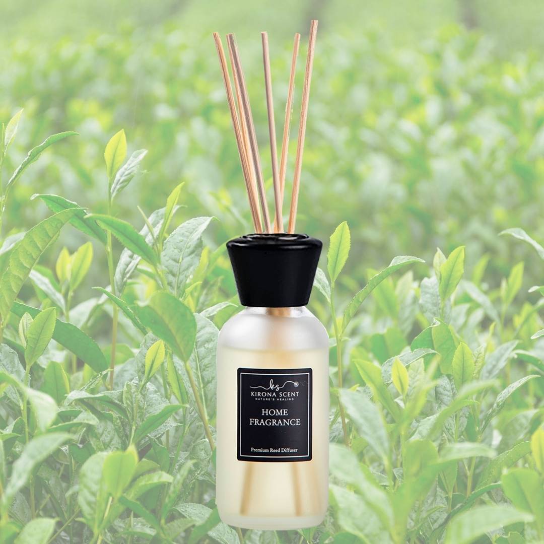 Spa Reed Diffuser (White) - Tea Tree Home Fragrance – Kirona Scent