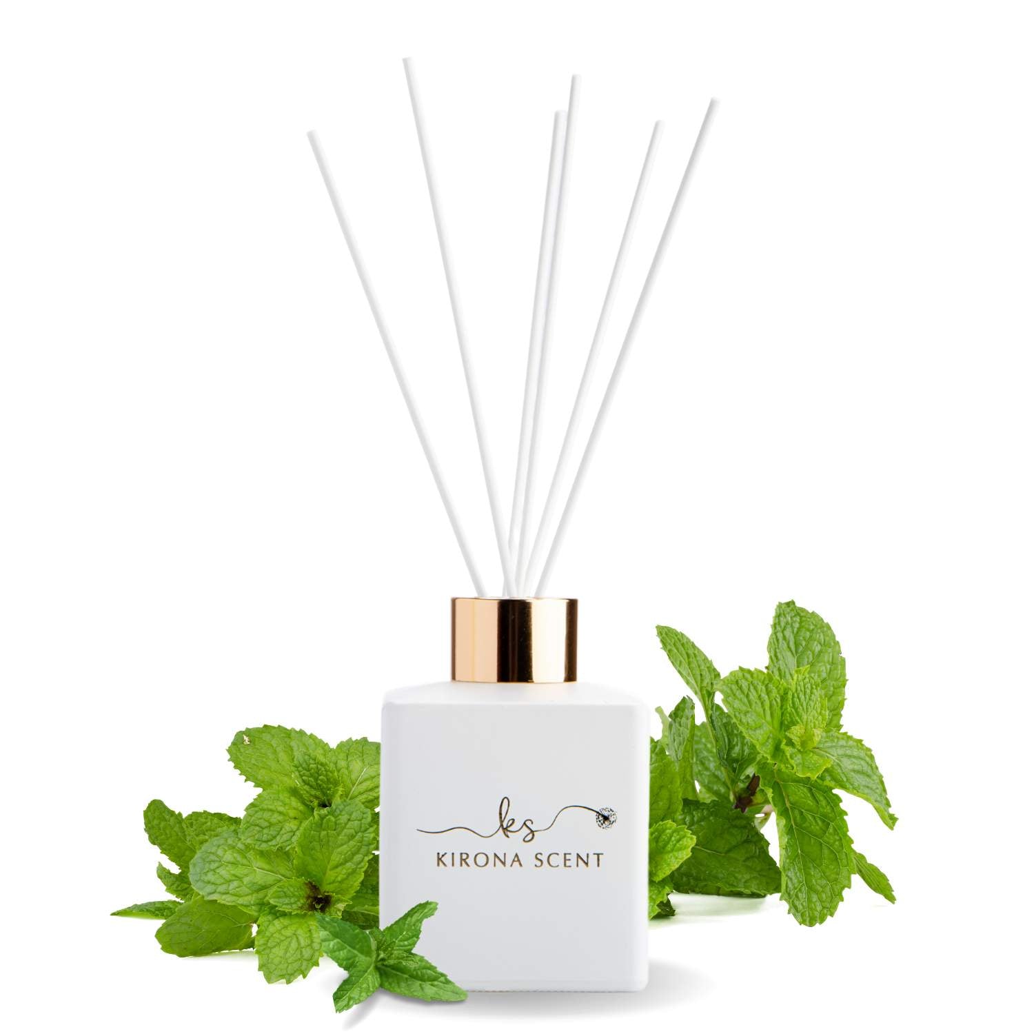 Timeless Reed Diffuser (White) - Peppermint