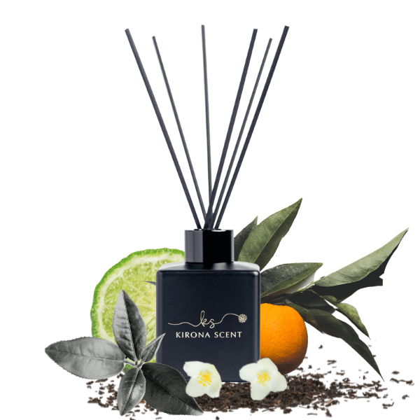 Timeless Reed Diffuser (Black) - Yulong
