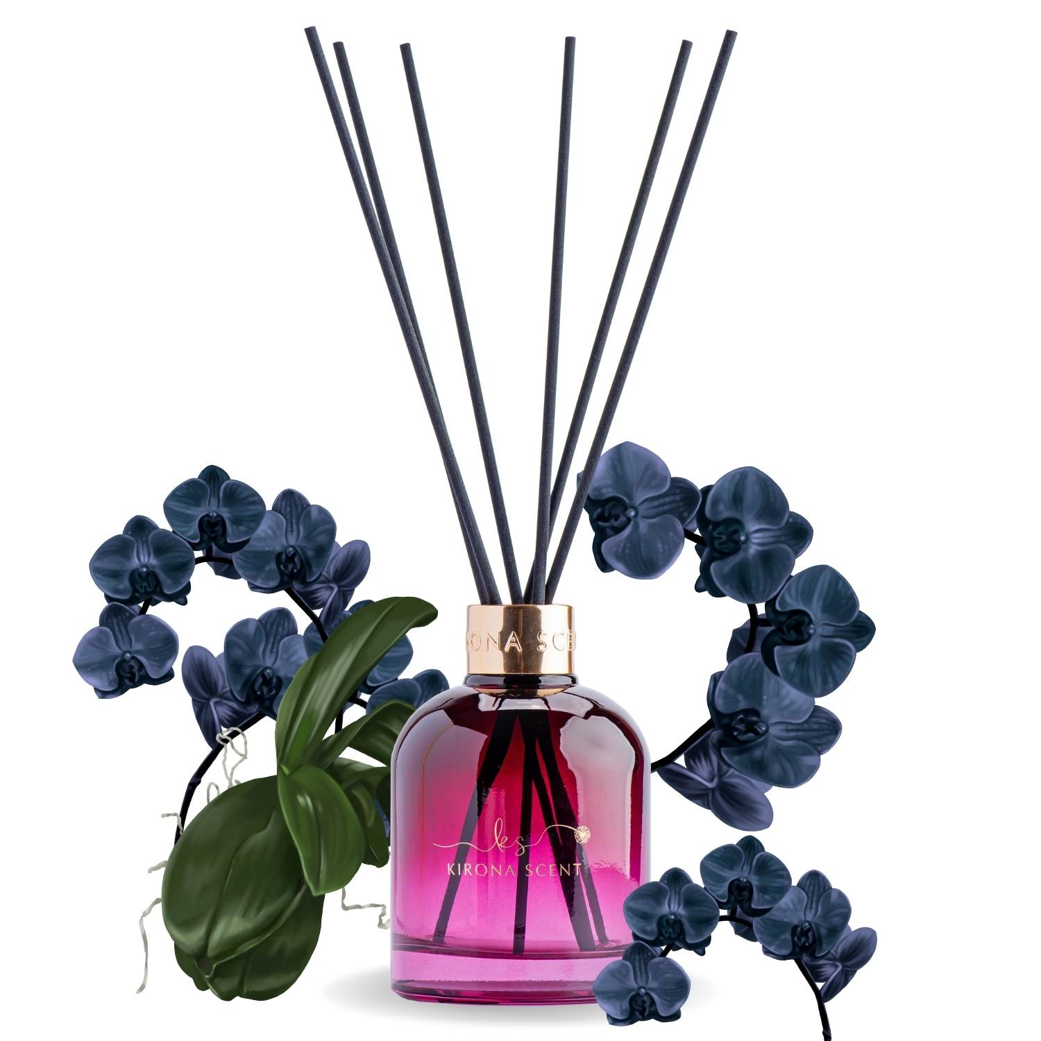 Posh Diffusers Black Orchid Posh Reed Diffuser (Luxe Fuchsia) – Kirona Scent